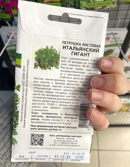 Петрушка Итальянский гигант